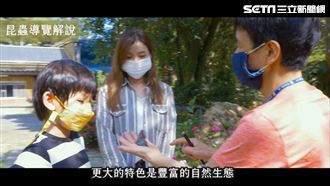 農村體驗、生態教育　平林農場玩得到