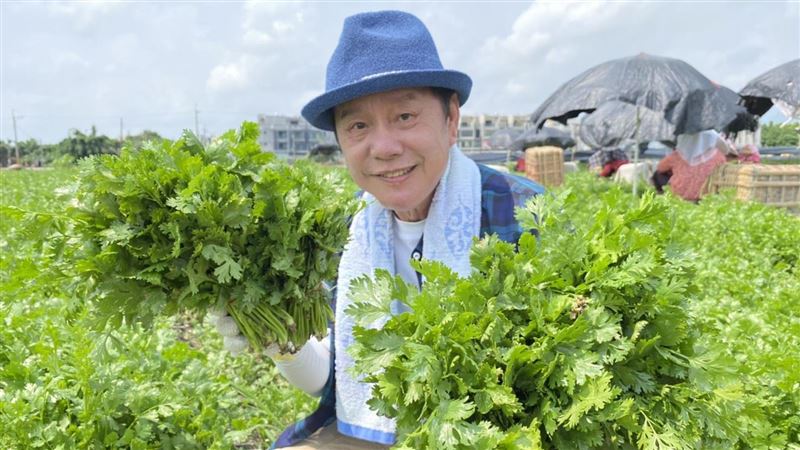 最強抗失智蔬菜是它　還能排毒護腦！