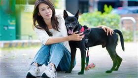 台中最美里長林京玲，完成市議員參選登記。（圖／翻攝林京玲臉書）