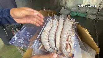 颱風風浪大！漁民急載明蝦進港卸貨