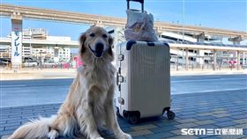 Ryoko&Cooper・根本在旅行授權提供