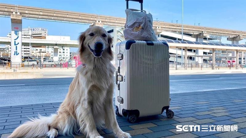 獨／要衝日本玩了？這5關卡先準備好