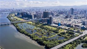 立信御景（業配勿用）