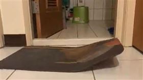 網友分享自己家中的魔毯。（圖／翻攝自爆料公社）