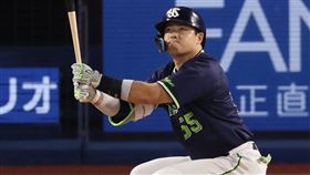 ▲養樂多村上宗隆。（資料照／取自東京養樂多燕子FB）