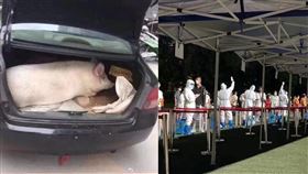 成都封城生活／微博