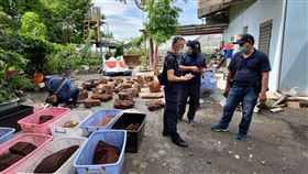 ▲保七總隊第九大隊林有振大隊長親自率隊搜查。山老鼠 台東（圖／臺東林區管理處提供）