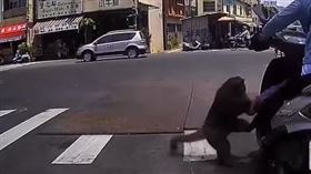 ▲有位騎士在高雄市區停等紅綠燈時被猴子偷襲，搶走兩根香蕉。（圖／翻攝自影片）