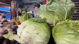 颱風襲高麗菜漲　與半月前相比漲4成