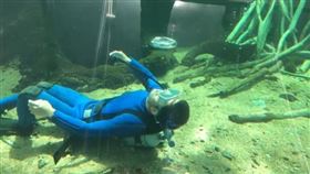 栃木県なかがわ水遊園【公式】Twitter