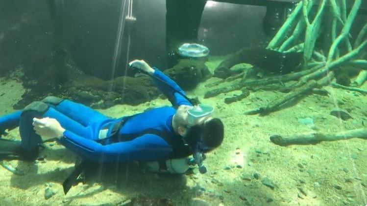 影／水族館沒白鯨　靠他吐泡吸睛百萬