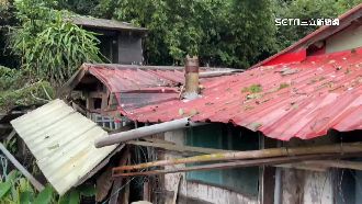 宜蘭山區颱風來襲　枯樹倒壓毀2民宅