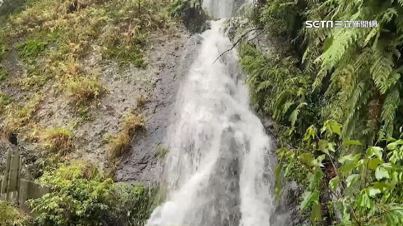復興鄉山區大雨　道路成河、溪水暴漲