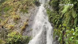 復興鄉山區大雨　道路成河、溪水暴漲