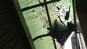 冷氣機,瓦斯桶,高空擲物,防火巷