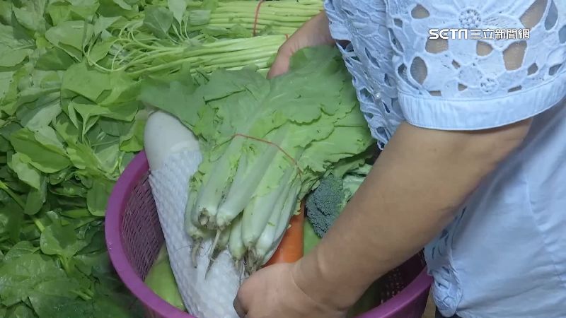 菜價小漲有感！民眾預期心理囤菜應對