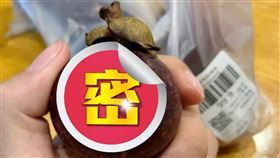 山竹,北方,外皮,難吃