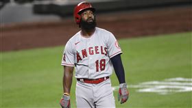 味全龍新洋砲Brian Goodwin。（圖／美聯社／達志影像）