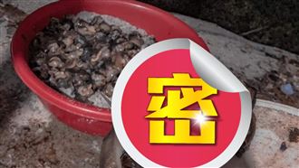 下豪雨！他爽抓「原住民和牛」喊美味