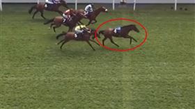 賽馬,騎士,冠軍