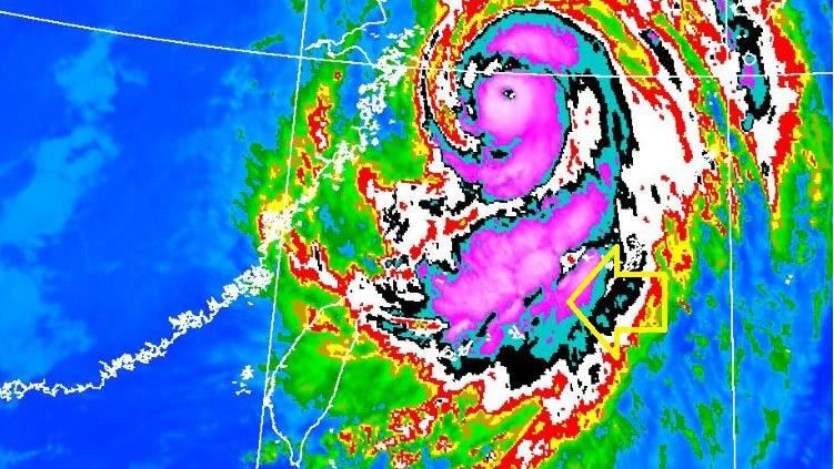 軒嵐諾超長尾巴照曝　南部差點芭比Q