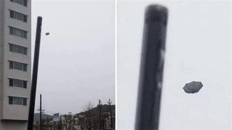 颱風天撐傘⋯他曝「悲劇1秒」網笑翻