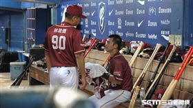 ▲樂天桃猿游擊手楊晉豪跑回轉隊後首分。（圖／記者劉彥池攝影）