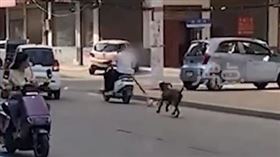 河南有人騎機車殘忍遛狗（圖／翻攝自微博）