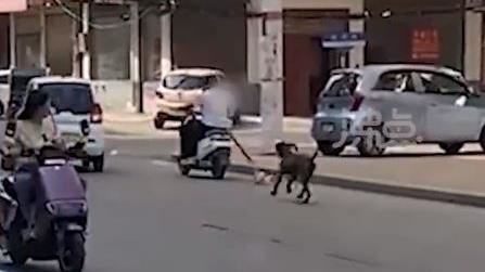 男騎車「遛幼犬」殘忍畫面惹怒全網