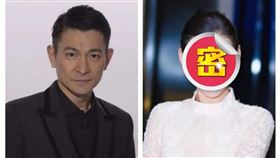 ▲劉德華；張柏芝。（圖／翻攝自百度百科）