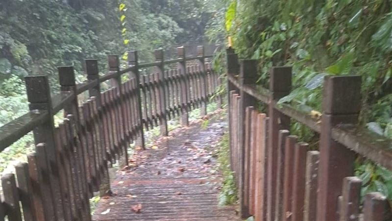 老鷹溪步道修繕完畢　重新開放入園