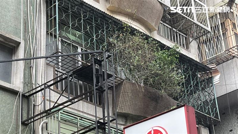 疑殺弟分屍失聯！家屬：大哥脾氣暴躁