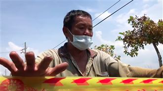 採蛤蜊觸電　他目睹2子慘死：來不及