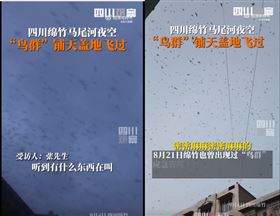 川震前「天空整片黑」蝙蝠竄景象駭人（圖／翻攝自四川觀察）