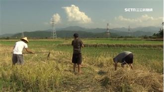 明迎「白露」小心著涼 醫示警5疾病上身
