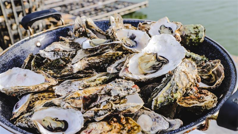 綠縣市長霸氣曬出海產：吃海鮮不奢侈