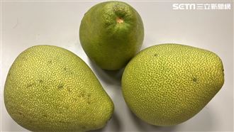 吃柚子避開6類藥品　藥師：同食恐腦中風