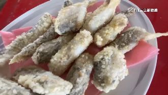 豆腐魚就是東港「那個魚」！價格曝光