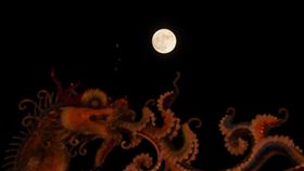 中秋天氣晴　月亮高掛中央氣象局表示，1日晚間大部分地區晴朗適合賞月；2日北部高溫來到攝氏31、32度，中南部可達33、34度左右，溫暖偏熱；但西半部地區早晚偏涼，日夜溫差大。大台北地區可見月亮高掛。中央社記者吳家昇攝　109年10月1日