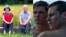 《他還年輕》 《士兵與軍官》