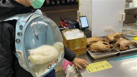 有飼主揹著寵物鴨去烤鴨店。（圖／翻攝自路上觀察學院 臉書）