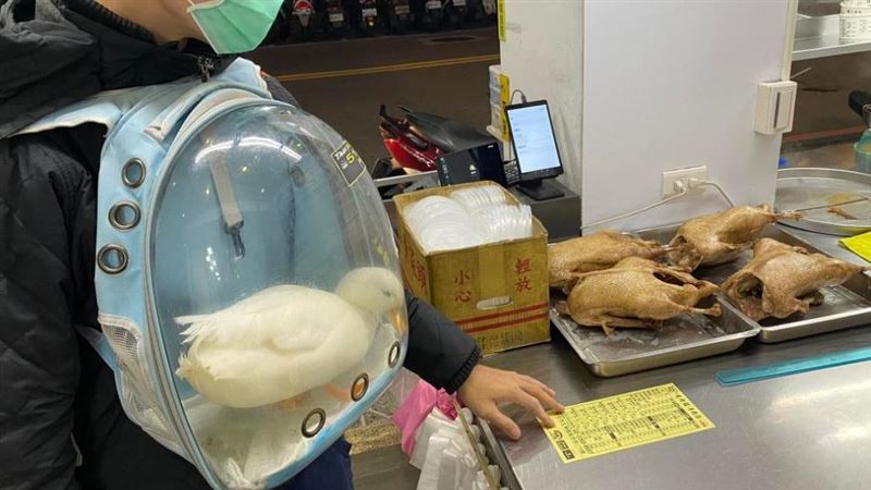 他揹寵物鴨走進這　瞬間嚇傻惹網笑翻