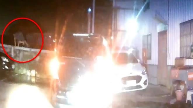 通緝犯偷車拒捕　桃警飛車追緝畫面曝