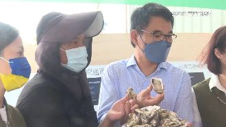 劉建國推單體牡蠣　改籠具養殖價更高