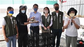蘇治芬、劉建國見證台西養成單體牡蠣民進黨籍立委蘇治芬（右）8日邀請同黨雲林縣長參選人劉建國（左3）等人和蚵農們共同見證從單體牡蠣的幼苗到單體牡蠣的養成，並啟動台灣單體牡蠣試養計畫，有信心提升台灣牡蠣競爭力。中央社記者姜宜菁攝  111年9月8日
