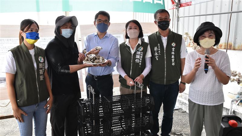 台西試養單體牡蠣　提升台灣競爭力