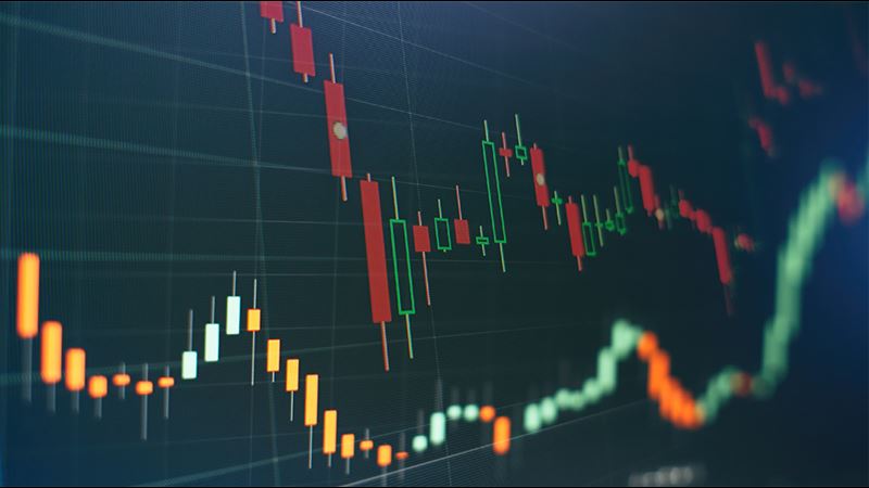 金融界最聰明的理財者　只做這一件事