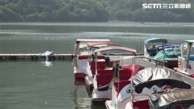 花蓮老翁租天鵝船遊鯉魚潭卻無故失蹤。（圖／翻攝畫面）