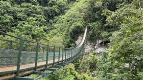 花蓮富源國家森林遊樂區龍吟吊橋重新開放花蓮富源國家森林遊樂區內的龍吟吊橋因天災損壞，歷經3年整修，即日起重新開放。（花蓮林區管理處提供）中央社記者張祈傳真  111年9月9日