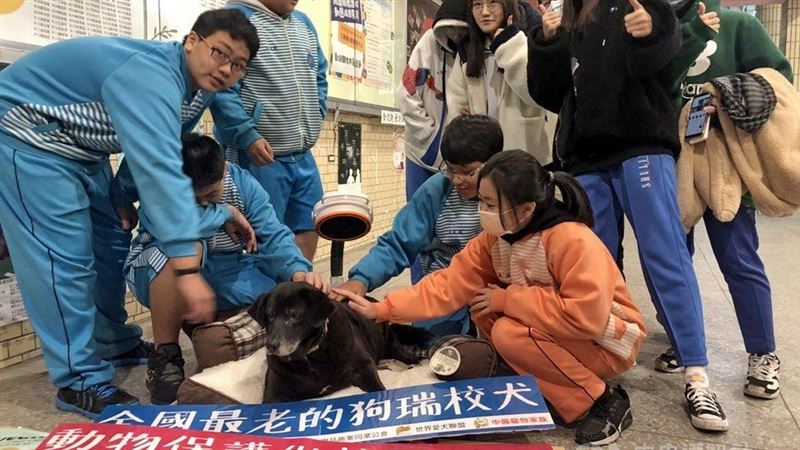 全台最長壽校犬　21歲小黑守護師生